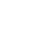 lingua-logo-white